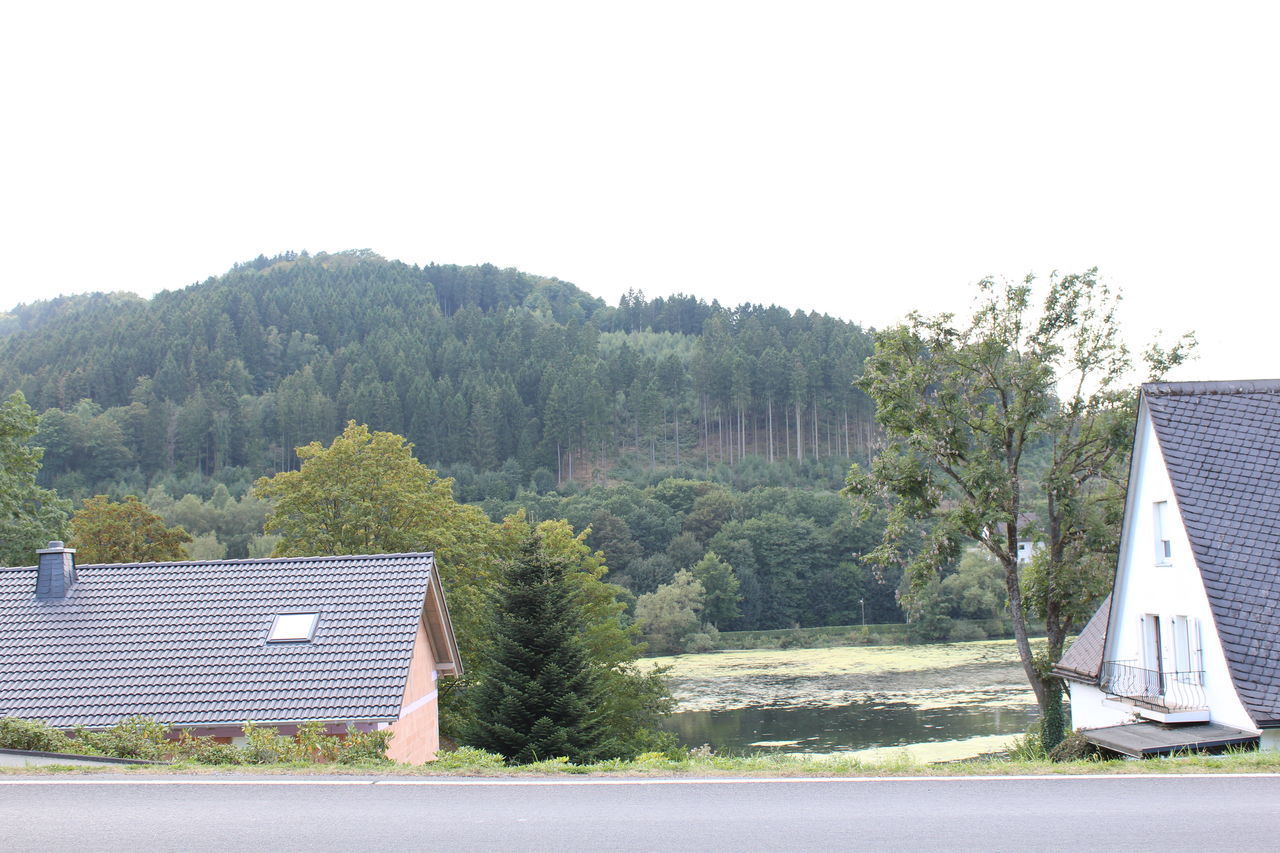 HOUSE BY TREES AGAINST CLEAR SKY