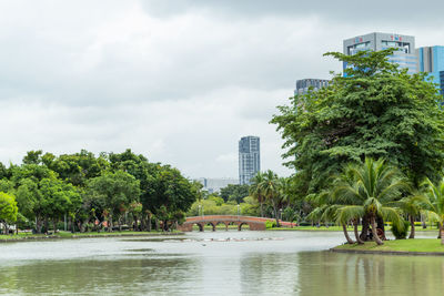 Trees by river against buildings in city against sky