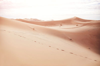 Scenic view of desert against sky