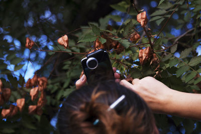 Low angle view of woman photographing trees