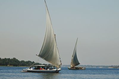 Sailboat sailing on sea against clear sky