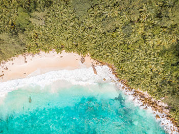 High angle view of la digue seychelles 