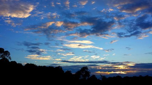 Silhouette of trees against cloudy sky