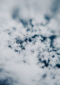 Full frame shot of snowflakes on snow