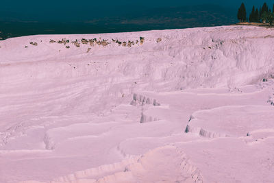 High angle view of snowy field during winter