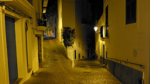 Alley amidst houses at night