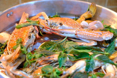 Close-up of crab in plate