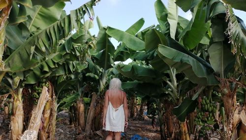 Rear view of woman standing amidst leaves