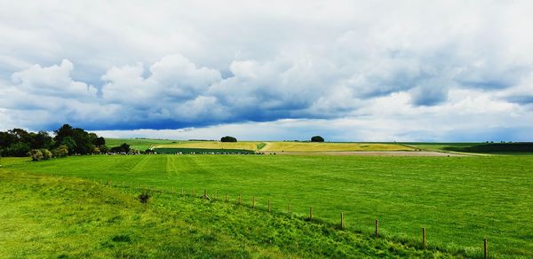 Scenic view of agricultural field against sky