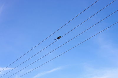 Low angle view of birds flying against blue sky