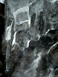 Close-up of icicles