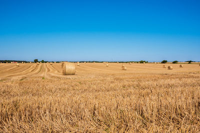 Scenic view of field against clear blue sky