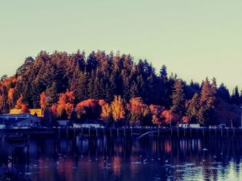 Trees by lake against clear sky during autumn