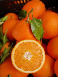 Close-up of oranges