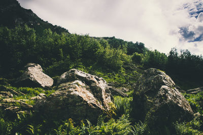 Scenic view of mountain against cloudy sky