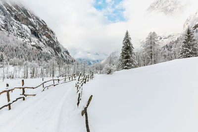 Snow covered land and trees against sky