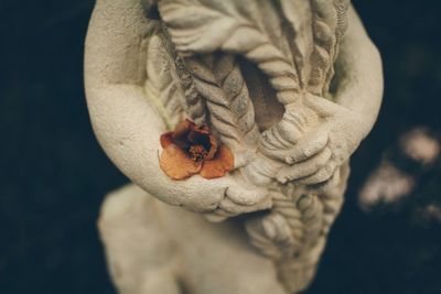 Close-up of dead flower on statue