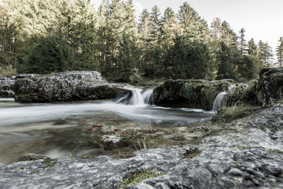 View of waterfall in forest