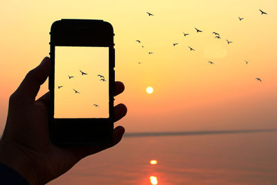Cropped image of hand photographing birds through mobile phone during sunset