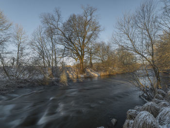 River flowing amidst bare trees in forest against sky