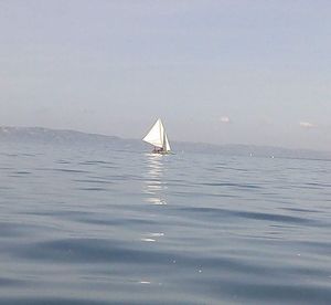 Sailboat in sea