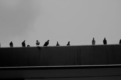 Low angle view of silhouette birds perching on railing against sky