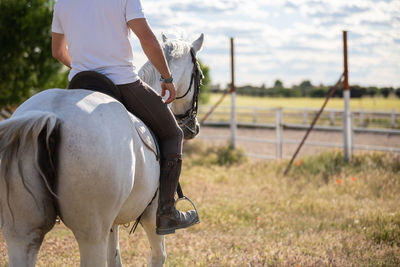 Man riding horse in field