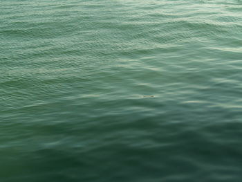 Full frame shot of rippled water