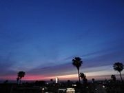 Silhouette trees against blue sky at sunset