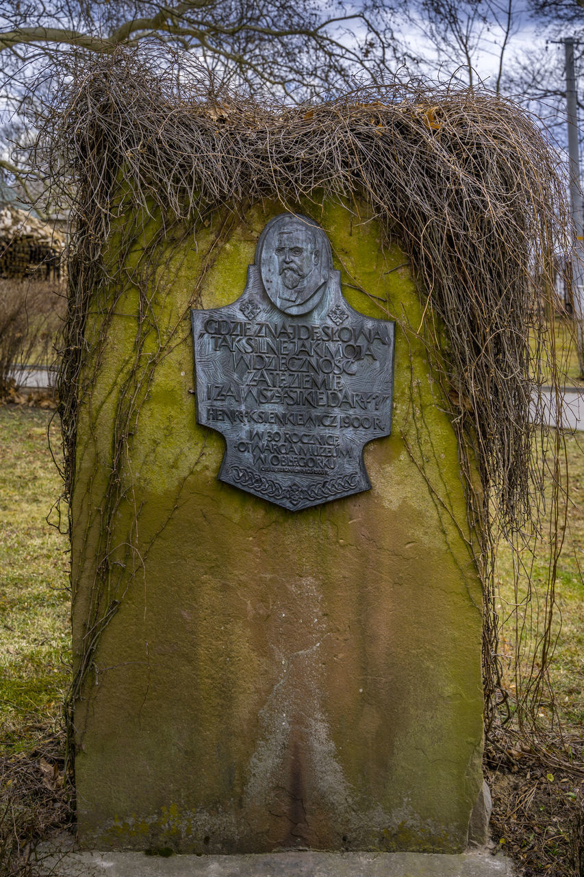 CLOSE-UP OF CROSS SCULPTURE ON TREE TRUNK