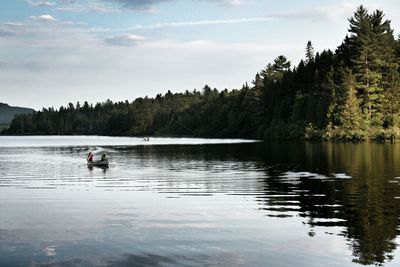 Reflection of trees in lake