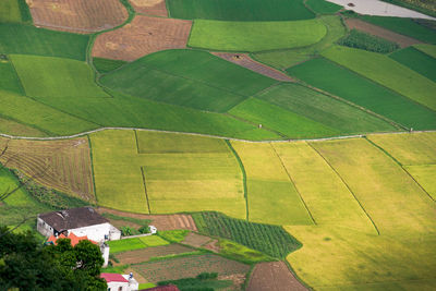 High angle view of agricultural field