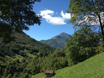 Low angle view of trees and mountains against sky