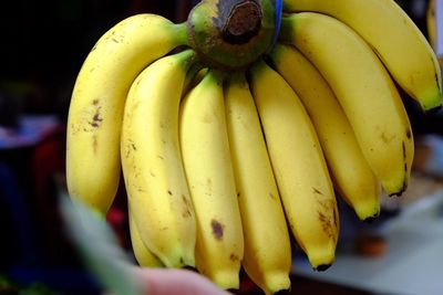 Close-up of bananas for sale