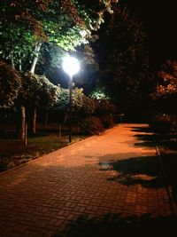 Narrow pathway along trees in park at night