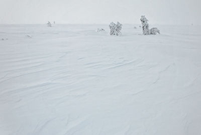 Scenic view of snow covered landscape against sky