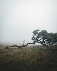 Man on field against sky