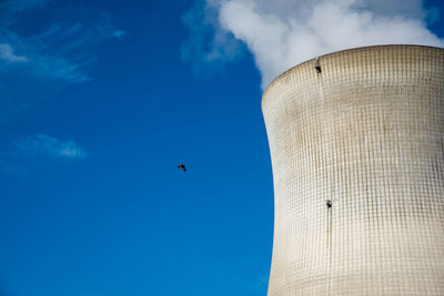 Low angle view of bird flying against blue sky