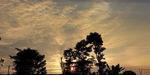 Low angle view of silhouette trees against sky during sunset