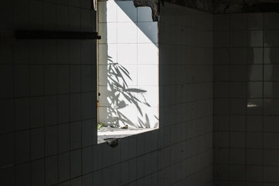 Reflection of building on glass window