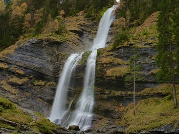 Scenic view of waterfall in forest