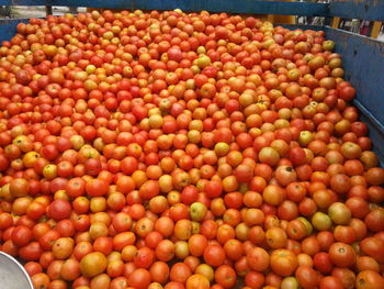 High angle view of fruits for sale in market