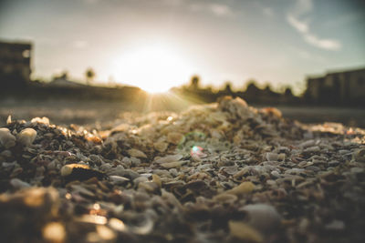 Close-up of pebbles on beach against sky during sunset