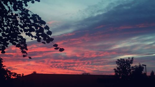 Silhouette of trees against cloudy sky
