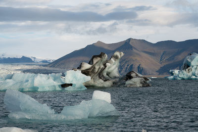 Jökulsárlón glacier lake in iceland