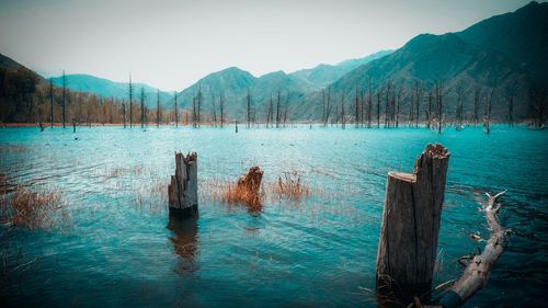 Wooden posts in lake against mountains