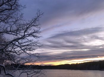 Silhouette bare tree by lake against sky during sunset