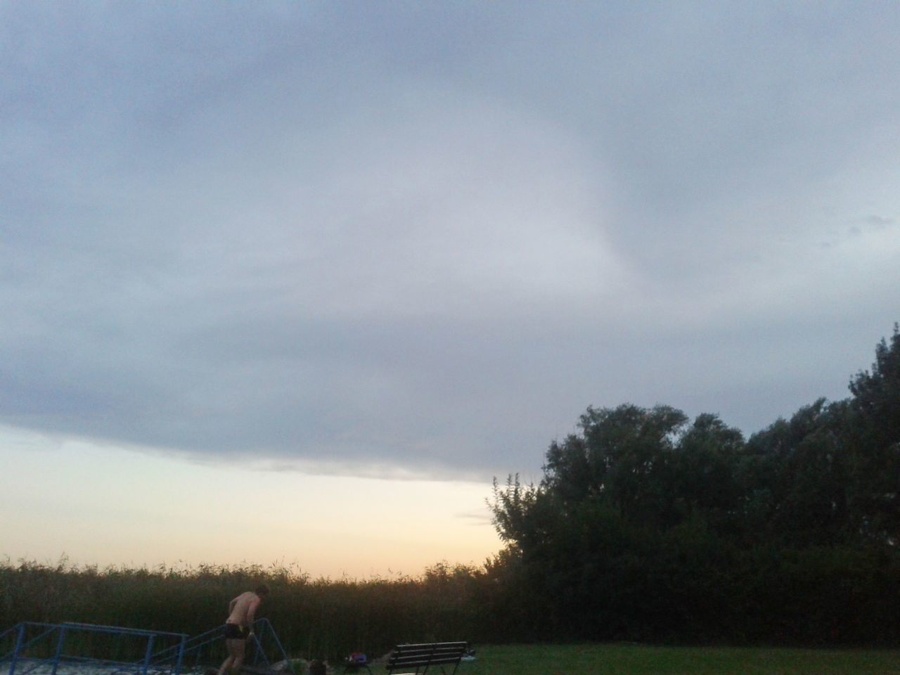 TREES ON FIELD AGAINST SKY