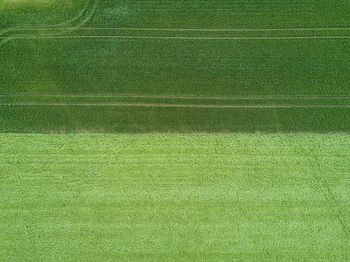Aerial view of grassy field