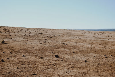 Scenic view of desert against clear sky